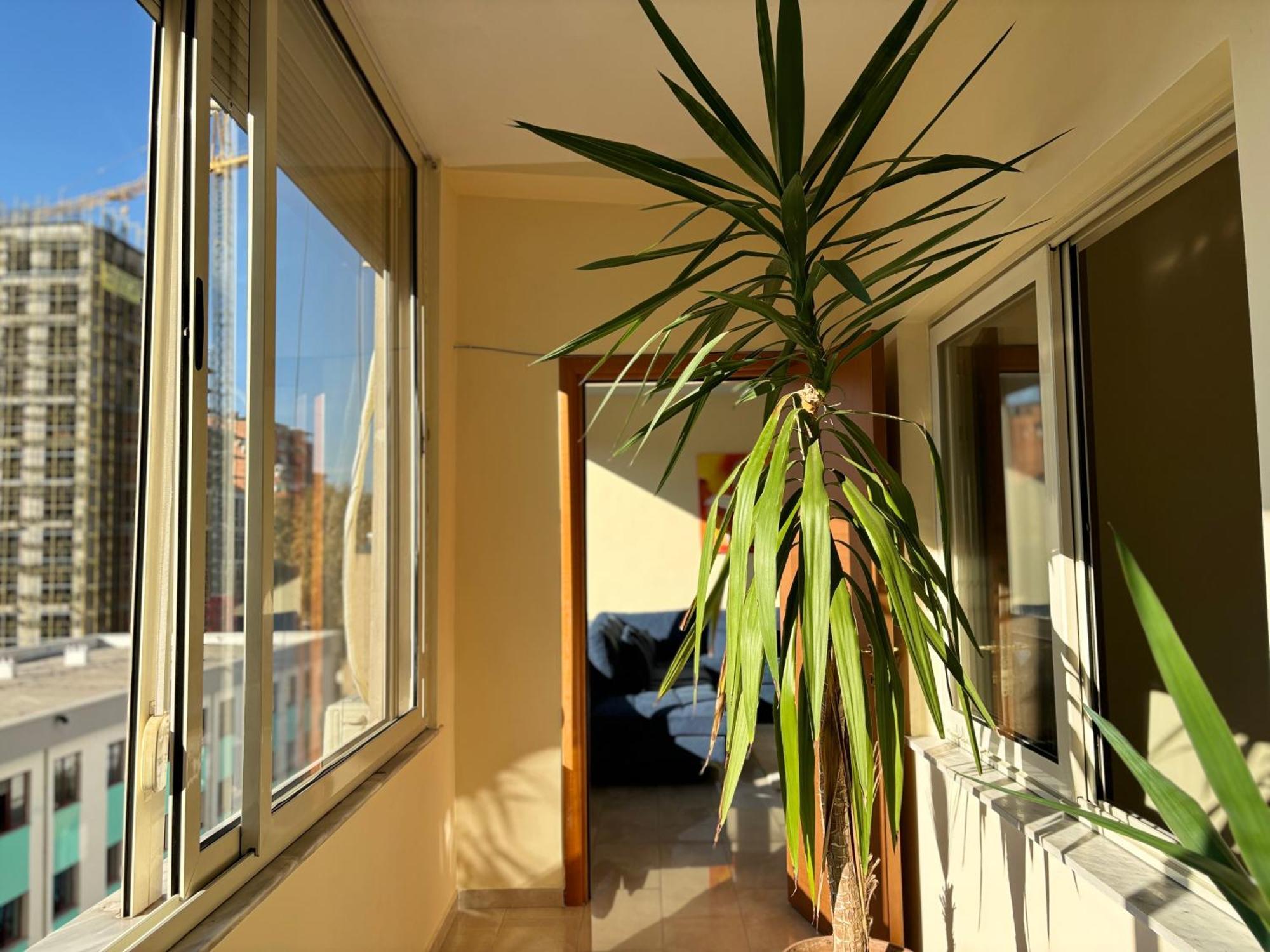 Tam 2Bdr Center Taiwan Apartment Tirana Exteriér fotografie